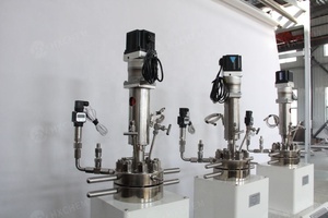 bibo HXCHEM NOUVEAU Réacteur de mélange chimique en acier inoxydable ASME 0,5 L, réacteur haute performance à prix compétitif directement du fabricant - Product Image 5
