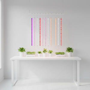 Tube LED de culture intégré à spectre complet <span class=keywords><strong>T5</strong></span> T8, 60 cm 120 cm, <span class=keywords><strong>pour</strong></span> jardin intérieur - Product Image 3