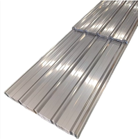 Z10-Z29 Beschichtete Kohlenstoffstahl-Wellblechplatten 0,21-0,22mm Dicke ASTM-Standard CE-Zertifiziert XLT Marke für