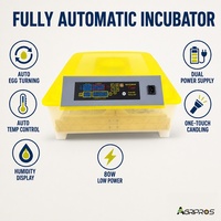 Nouvel incubateur automatique 48 œufs PP 220V pour poulets et oiseaux, couveuse transparente portable pour l'élevage domestique de volailles