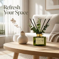 Diffuseur de parfum d'ambiance haut de gamme TopOne longue durée 90 jours, menthe sauvage et eucalyptus, pour spa, chambre et décoration