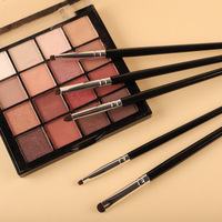 Nouveau kit complet de 5 pinceaux de maquillage avec manche en plastique en crin de cheval, petite pointe, idéal pour les voyages, pour le visage et les yeux
