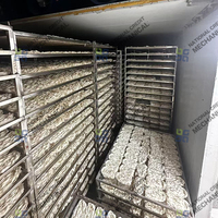 Commerciële rijstnoedel-dehydrator, macaroni-, spaghetti- en pastadroogmachine, gerstnoedel-droger
