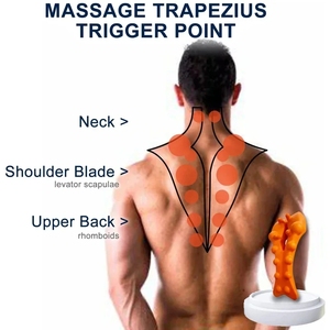 Appareil d'étirement du <span class=keywords><strong>cou</strong></span> et du <span class=keywords><strong>dos</strong></span> HSD Modèle J68, relaxant pour la colonne vertébrale, traction cervicale et lombaire, planche de massage pour redresser le <span class=keywords><strong>dos</strong></span>, attelle dorsale - Product Image 3