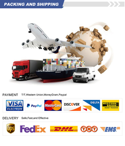 Sealion-Parachoques delantero, parte inferior de la parte delantera, de la marca, de la marca del año 2000 - Product Image 3