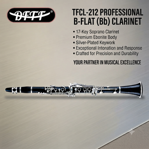 <span class=keywords><strong>Clarinete</strong></span> <span class=keywords><strong>Profesional</strong></span> de Alto Rendimiento, <span class=keywords><strong>Precio</strong></span> de Fábrica/Venta al Por Mayor/OEM, en Plata, Clave B, Cuerpo de Caucho Duro, 17 Llaves - Product Image 2
