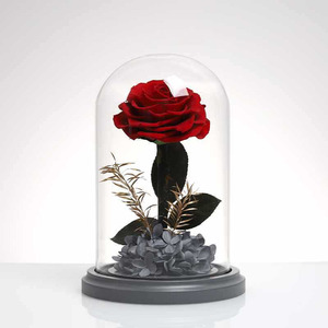 TC Distinctive Little Prince Rosa Eterna Preservata in Cupola di Vetro, Set Regalo per San Valentino, Regalo per Ragazze - Product Image 5