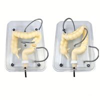 Modèle KyrenMed Colon Modèle de formation Coloscopie Modèle de formation Coloscopie virtuelle souple Simulateur de modèle de formation pour la formation médicale en soins infirmiers