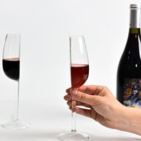Gobelet à cocktail de vin à demi-champagne isolé de grande valeur Design moderne pour les fêtes