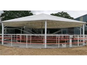 Trotteur certifié CE avec moteur de 750 watts - Product Image 6