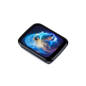 Modulo Schermo Touch da 1,69 Pollici per <span class=keywords><strong>Raspberry</strong></span> <span class=keywords><strong>Pi</strong></span> 5/4B/3B+ con Driver ST7789V2 e Comunicazione SPI - Product Image 5