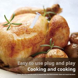 10 шт., термометр для приготовления индейки - Product Image 6