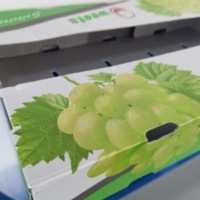 Caisses en plastique ondulé recyclé pour myrtilles et cerises, boîtes d'emballage en PP pour fraises, taille personnalisée disponible, impression UV/sérigraphie