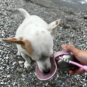 Nouveau produit : Gourde portable pour chien en acier inoxydable 304, motif arc de cercle, pour promenades et utilisation en extérieur - Product Image 3