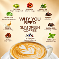 Winstown Slim Mellow: Creme Dietético de Sabor Neutro de Alta Qualidade para Adultos, 100% Arábica, Livre de Gordura Trans, Sabores Variados, Caixa de 180g, OEM - Direto da Fábrica