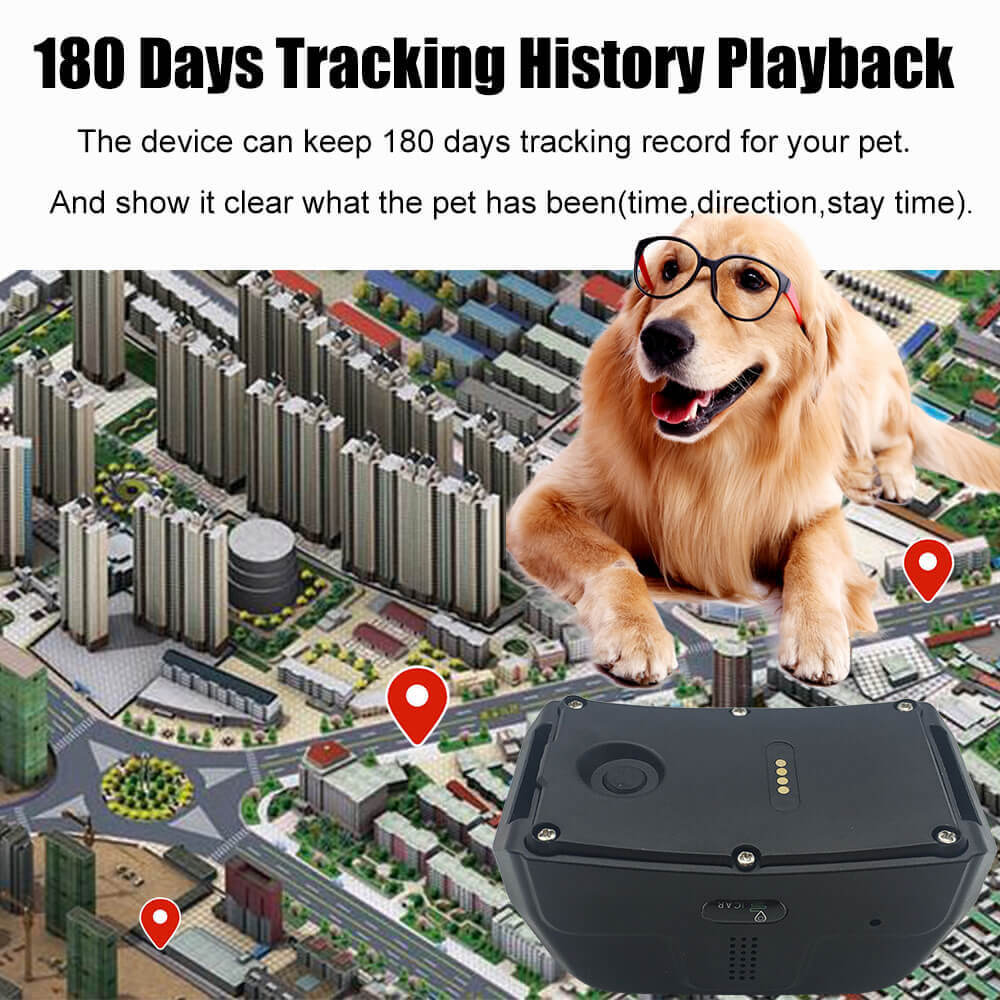 Ip67 Waterproof Hunting Dog Gps Tracker With 4000mah Buy Gps Tracker