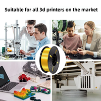 Filament PLA Soie Métallique Noir & Blanc 1,75 mm Haute Précision Faible Déformation Consommables pour Imprimante 3D FDM de Bureau