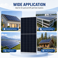 Panneau solaire bifacial monocristallin à double vitrage Jinko haute efficacité 600W type N 22,21% 2278 * 1134 * 30 mm 144 cellules