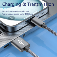 Câble de données USB-A vers Type-C 10W avec un design unique en nylon tressé durable, adapté aux appareils Android et iPhone