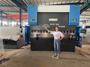 Máquina de dobra de freio de imprensa hidráulica, cnc 250t com controlador da53t - Product Image 3