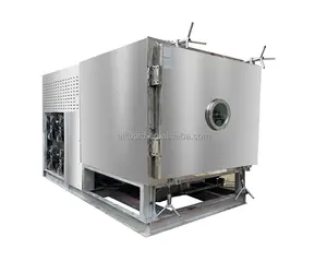 2022 china 20kg 25kg Industrial commercial vacuum lyophilizer food freeze dryer
