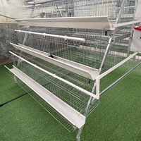 40000 oiseaux, équipement avicole, cages d'alimentation pour poulets, système de batterie pour poules pondeuses de type A à 3/4 niveaux, à vendre au Kenya