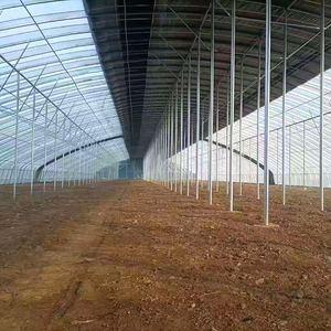 Installation facile, fabricant professionnel, kits complets, agriculture, plantation de fleurs, <span class=keywords><strong>tunnel</strong></span> de <span class=keywords><strong>jardin</strong></span> en polycarbonate, <span class=keywords><strong>petit</strong></span> modèle - Product Image 3