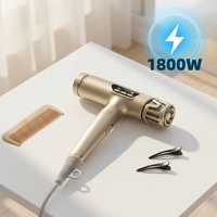 Sèche-cheveux ionique pliable puissant BLDC à moteur sans balais 1800W, léger, haute qualité, faible bruit, haute vitesse, OEM