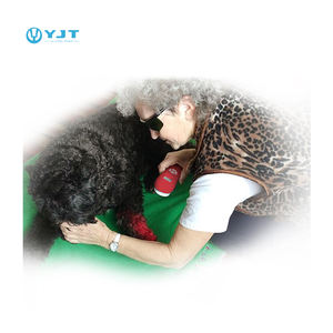 Generasi baru perangkat terapi lampu merah inframerah genggam portabel, Laser dingin dokter hewan untuk rehabilitasi penghilang rasa sakit - Product Image 4