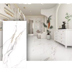 Modern stil 600x1200mm beyaz porselen kumtaşın fayans asit ve Firebrick dayanıklı 60x120 cm seramik yer karosu - Product Image 2