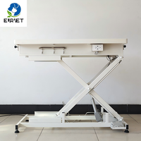 Table de Traitement Électrique EUR VET pour Équipement Vétérinaire, Châssis en Acier Robuste, Surface Antidérapante pour Toilettage et Clinique Vétérinaire