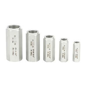 Clapet anti-retour hydraulique en acier au carbone, filetage NPT, anti-reflux pour système hydraulique - Product Image 1
