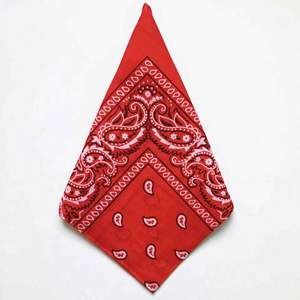 Pañuelo para el Cuello, Popular entre Grupos de Baile, Artistas Callejeros y Subculturas de Moda Juvenil - Product Image 2