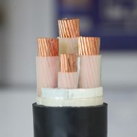 Cable de Alimentación Blindado de Bajo Voltaje de Alta Calidad de 400 mm², 500 mm², 630 mm², 800 mm², 1000 mm²