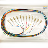 Cable de Fibra Óptica Multimodo LC UPC 12 Fibra OM3 50/125, PVC 0.9mm, para Cableado de Red