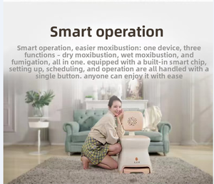 2025 популярное Электрическое Кресло Для моксотерапии с дальней инфракрасной тепловой терапией, бездымное сертифицированное медицинское обслуживание - Product Image 6