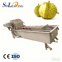 Durian & Kiwi Groentewasmachine 500Kg Capaciteit Motor Aangedreven Voor Fruitverwerkende Fabriek