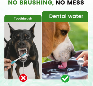 Ambientador de aliento para perros OEM/ODM para limpieza de dientes, aditivo de agua dental enzimático para perros, refresca el aliento y reduce el suplemento de sarro - Product Image 4