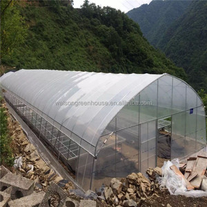 Tienda de cultivo de plantas de invernadero al aire libre Jardín Mini invernadero Casa verde PE Túnel Caminar en invernadero para la venta - Product Image 3