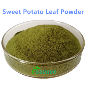 Bubuk Daun Ubi Jalar Organik Alami Murni Bubuk Daun Ipomoea Batatas dengan Harga Terbaik - Product Image 2