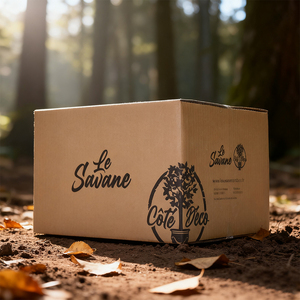 Biểu Tượng Tùy Chỉnh In Bao Bì Sóng Có Thể Tái Chế Hộp Các Tông Mạnh Mẽ Nâu Di Chuyển Sóng Vận Chuyển Hộp Hộp Carton - Product Image 3