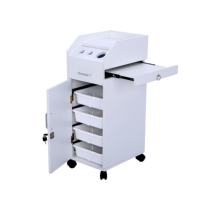 Chariot de machine de beauté du visage chariot de Salon de coiffure boîte en bois en acier blanc emballage inoxydable roues de meubles chariot de Salon