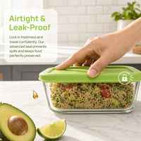 Boîte à lunch rectangulaire OEM en verre borosilicate de 2650 ml avec couvercles sans BPA, compatible four, conteneur bento