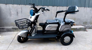 Tricycle électrique de fret économique à 3 roues, moteur 500W/600W/750W, contrôleur intelligent, batterie au lithium/48V, vitesse unique, nouveau - Product Image 1