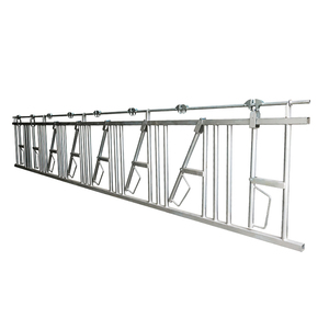 Équipement d'élevage bovin très demandé : Barrière de contention pour bovins durable, galvanisée à chaud, facile à nettoyer - Product Image 1