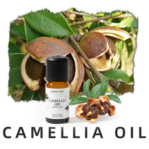 Huile de Camélia Pure Biologique de Qualité Cosmétique, Huile Végétale en Gros, Fournisseur en Vrac, Hydratant Naturel pour Soins de la Peau - Product Image 2