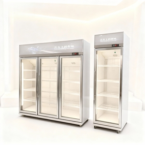 Réfrigérateur vertical pour épicerie, refroidisseur de boissons pour supermarché, réfrigérateur commercial avec porte vitrée, commande LED - Product Image 5