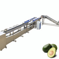 Papaya Perzik Banaan Bes Peer Ui Groenten Kleine Fruitsoorten Kiwi Sorteer- en sorteermachine KHGX-6J Sensor PLC 600KG 1 Jaar Garantie
