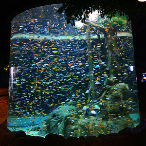 Panneau d'aquarium acrylique grand aquarium acrylique taille personnalisée 100% matériel d'importation - Product Image 4