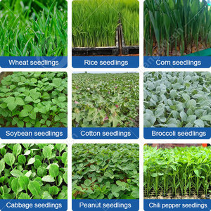 Máquina de Germinación de Semillas ORME, Invernadero Automatizado Hidropónico para Cultivo de Cebollino, Trigo y Hierba - Product Image 6